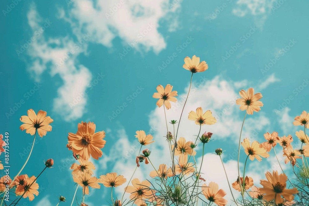 Colorful flowers floating in a clear blue sky, A cluster of flowers reaching towards the sky, AI generated Colorful flowers floating in a clear blue sky, A cluster of flowers reaching towards the sky, AI generated