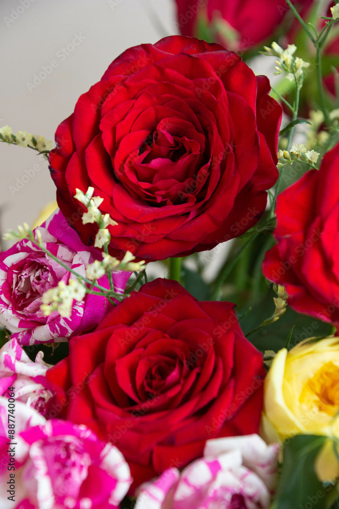 カラフルな薔薇 カラフルな薔薇