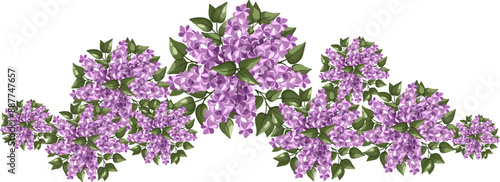Lilac trees top view for the landscape design plan. Entourage design. Vector illustration.