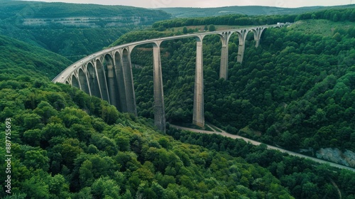 Aerial View of a Large Bridge Over Lush Green Forest