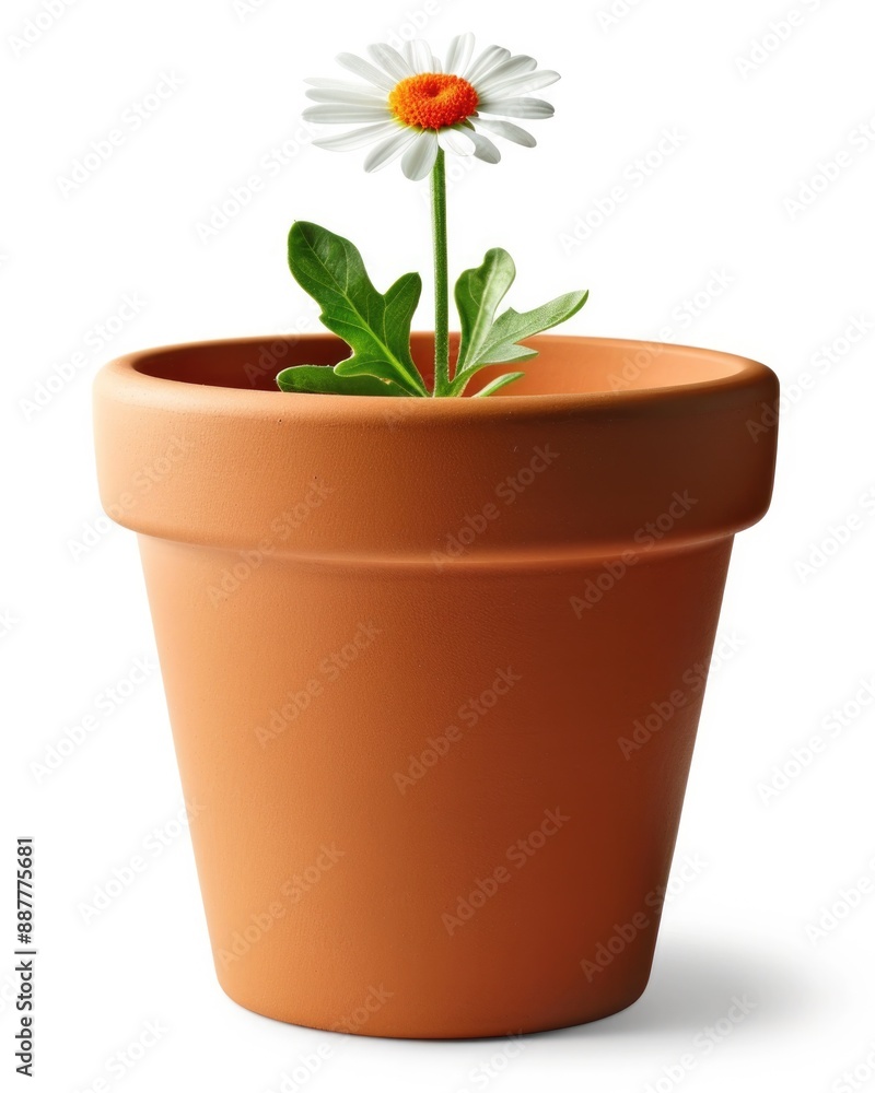 Flower Pot. Terracotta Container for Planting Flowers Isolated on White Background Flower Pot. Terracotta Container for Planting Flowers Isolated on White Background