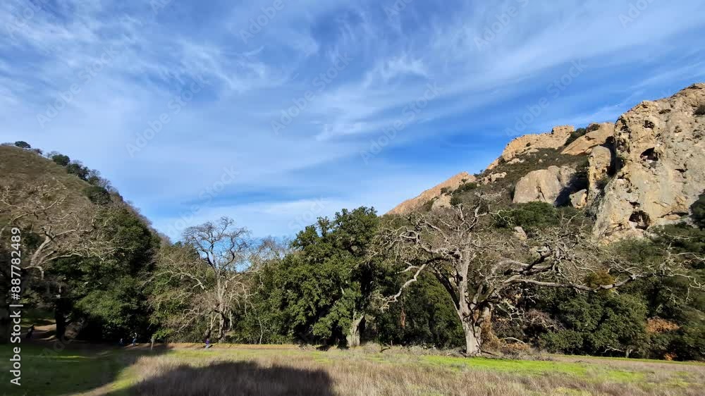 Landscape pan of trees in bushland forest in Mammoth Rock mountains nature hill formation Walnut Creek California America National Parks hiking trails Landscape pan of trees in bushland forest in Mammoth Rock mountains nature hill formation Walnut Creek California America National Parks hiking trails