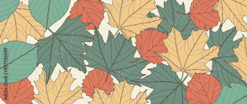 Autumn foliage abstract background. Maple leaves, leaves of different trees. Botanical vector illustration
