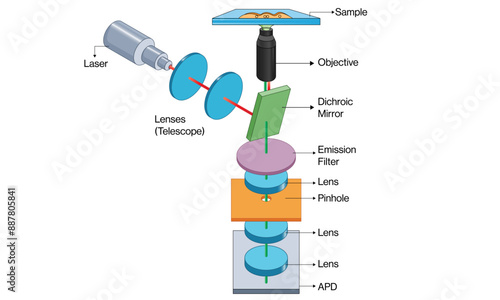 Detailed Vector Illustration of Fluorescence Correlation Spectroscopy Principle and Instrumentation on White Background.