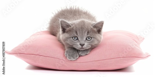 A kitten is laying on a pink pillow. The pillow is soft and fluffy, providing a comfortable spot for the kitten to rest. The kitten appears to be content and relaxed, enjoying its time on the pillow photo