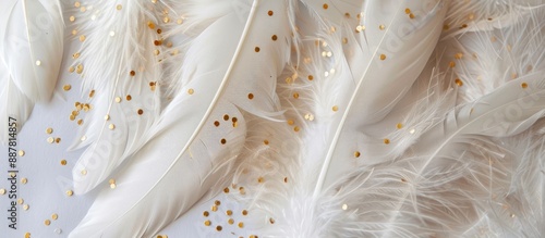 Flat lay of fluffy white go...