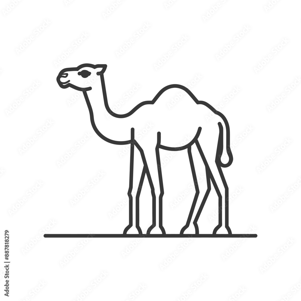 Fototapeta premium Minimalist Line Art Illustration: Single-Humped Camel Silhouette