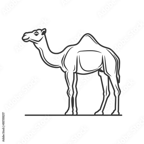 Monochromatic Dromedary Camel Illustration: Elegant Line Art Profile