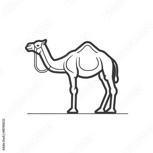 Monochromatic Dromedary Camel Illustration, Simple Line Art