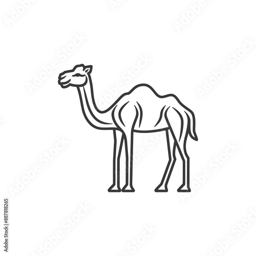 Elegant Line Art Illustration of a Dromedary Camel