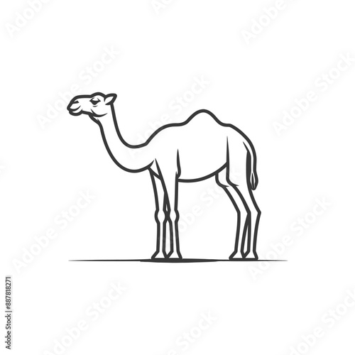 Single-Line Camelid Silhouette: Elegant Dromedary Outline Illustration