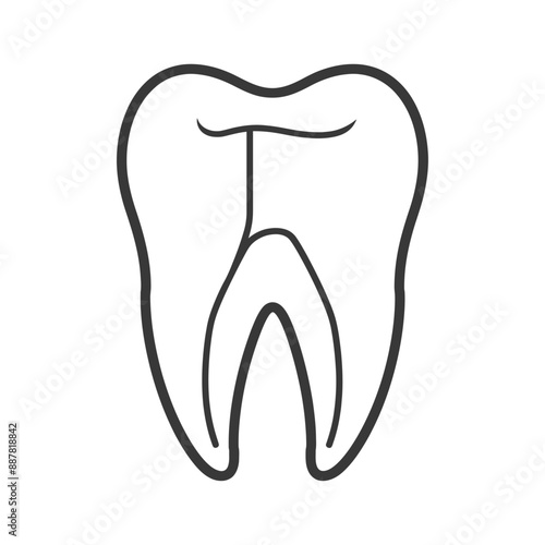 Simple Line Art Illustration of a Single Human Tooth