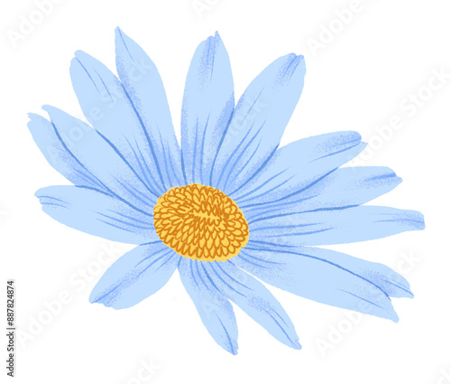 Blue flower png, aesthetic illustration, transparent background