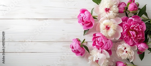 White wooden background with copy space image featuring peonies