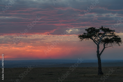 sunset in Masai Mara
