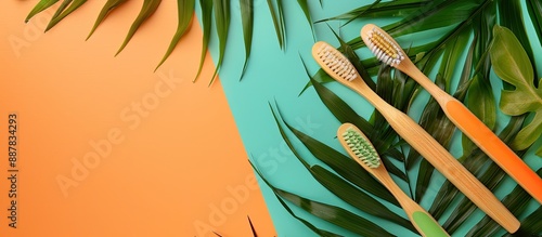 Toothbrushes made of wood f...