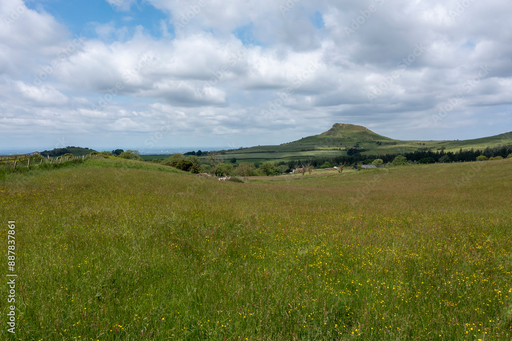 Roseberry Topping North Yorkshire and buttercup field Roseberry Topping North Yorkshire and buttercup field
