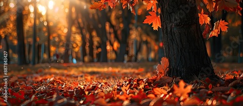 Autumn landscape photograph...