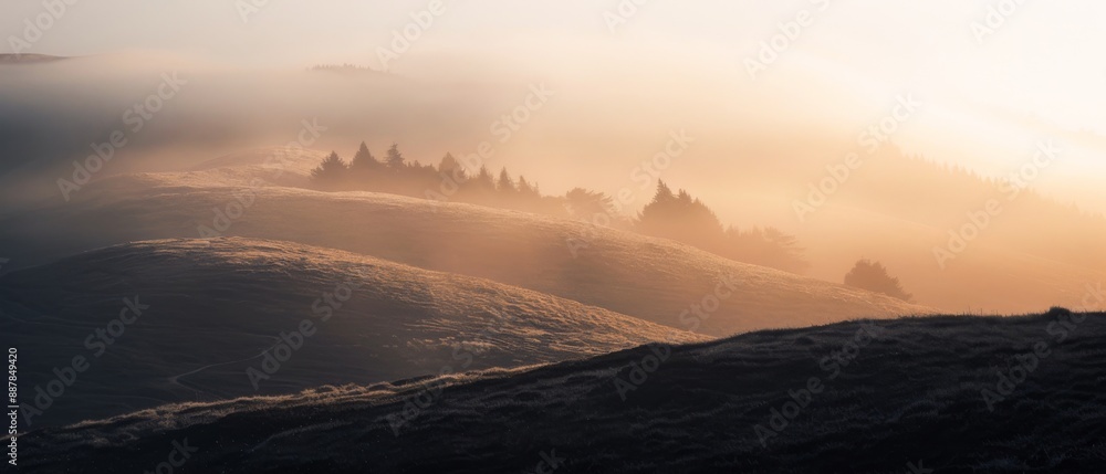 Amazing mystical rising fog forest trees landscape in black forest blackforest ( Schwarzwald ) Germany panorama banner - Dark mood.. Amazing mystical rising fog forest trees landscape in black forest blackforest ( Schwarzwald ) Germany panorama banner - Dark mood..