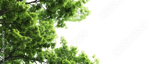 Tree themed wallpaper backg...