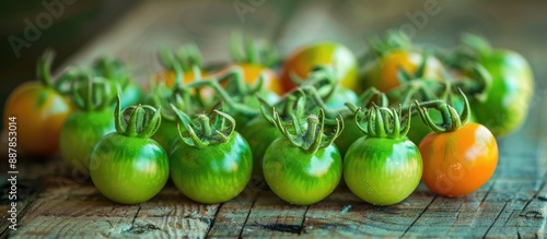 Italian organic mini roma c...