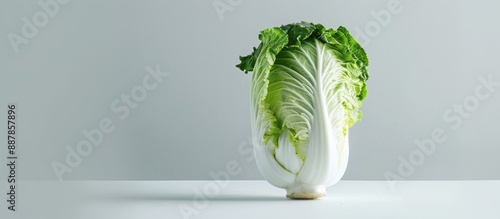 Chinese cabbage displayed w...