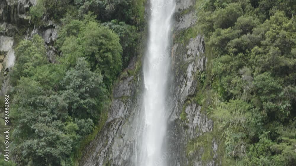 Water falling down from a forest at Thunder Creek Falls, West Coast, New Zealand. Water falling down from a forest at Thunder Creek Falls, West Coast, New Zealand.
