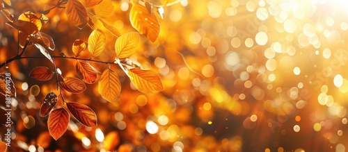 Magical forest with golden ...