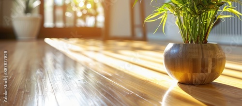 Bamboo flooring with a dry ...