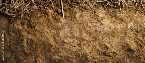 Copy space image of sawdust...