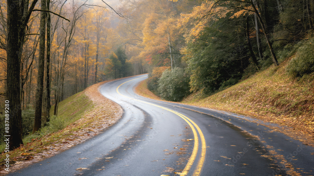 A winding road with yellow lines curving through a forest with trees showing autumn foliage and a wet surface, showcasing fall colors and a serene atmosphere. A winding road with yellow lines curving through a forest with trees showing autumn foliage and a wet surface, showcasing fall colors and a serene atmosphere.