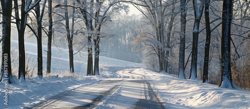 A snowy landscape with tree...