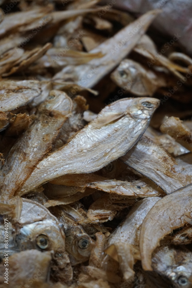 Closeup shot of dried sole fish in a seafood shop, Salted dried fish being sold at an Asian fish market, Freshly caught dried sea fish at a local market Closeup shot of dried sole fish in a seafood shop, Salted dried fish being sold at an Asian fish market, Freshly caught dried sea fish at a local market