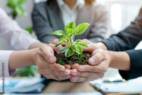 Business hands holding green plants together are the symbol of green business company