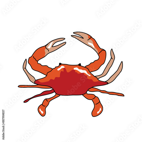 Seafood Vector Collection crab