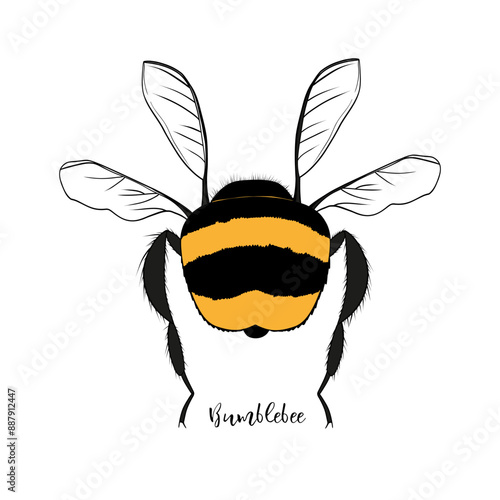 Illustration of a bumblebee. Hand drawing. Sketch or doodle style. Vector