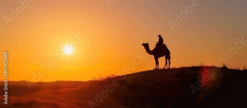 Camel Silhouette Against a Vibrant Sunset © ismodin