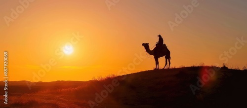 Camel Silhouette Against a Vibrant Sunset