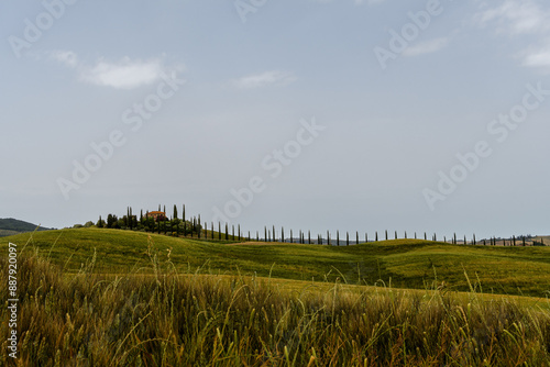 tuscany landscape of hilly fields