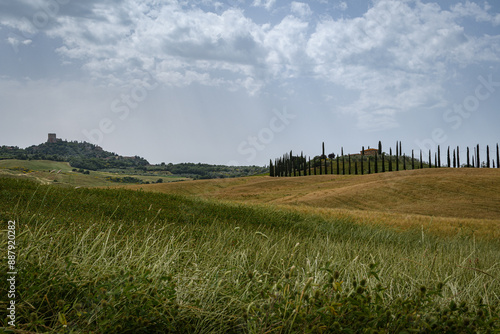 tuscany landscape of hilly fields