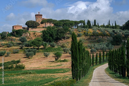 treeline road to a castle in italy