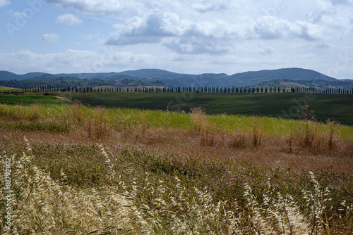 tuscany landscape of hilly fields with treeline and mountains