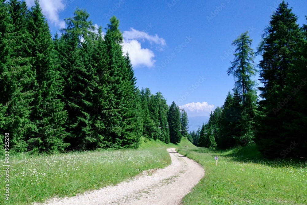 Fototapeta premium Wanderweg Mendel