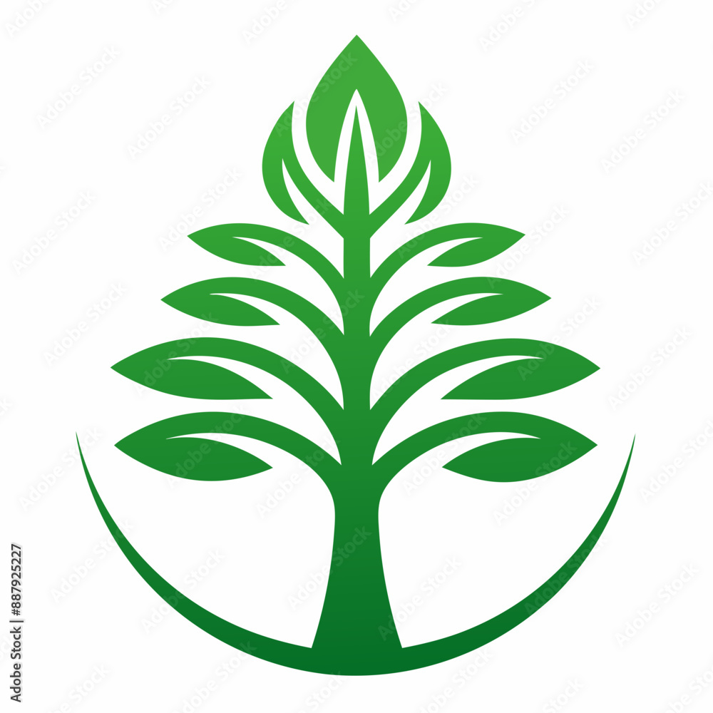 vector illustration of a tree vector illustration of a tree