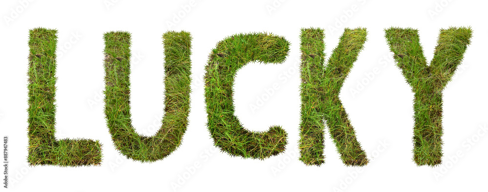 word of Lucky made from grass word of Lucky made from grass