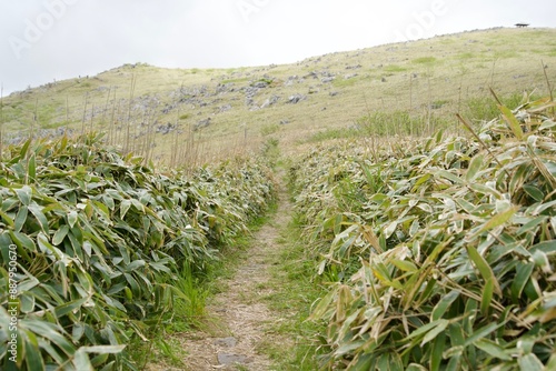 Trekking path through the grasslands of Tengu Highlands photo