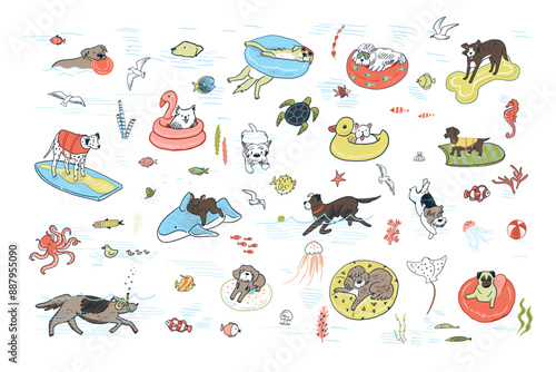 Dogs sea summer relax in lifebuoy, swimming pool illustartions set.