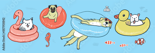 Vector illustration of a cute dogs swimming pool in inflatable ring.
