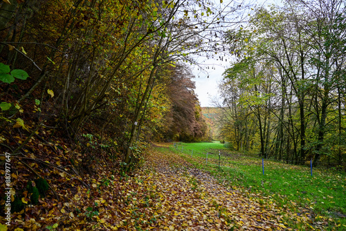 Tolle Herbststimmung mit Herbstlaub an den Bäumen im Herbstwald bei Bad Bocklet, Franken, Bayern, Deutschland