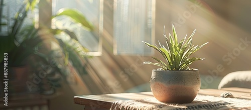 A small potted Artificial Arpophyllum sits on a table in a room with daylight streaming in through a window providing a serene copy space image photo